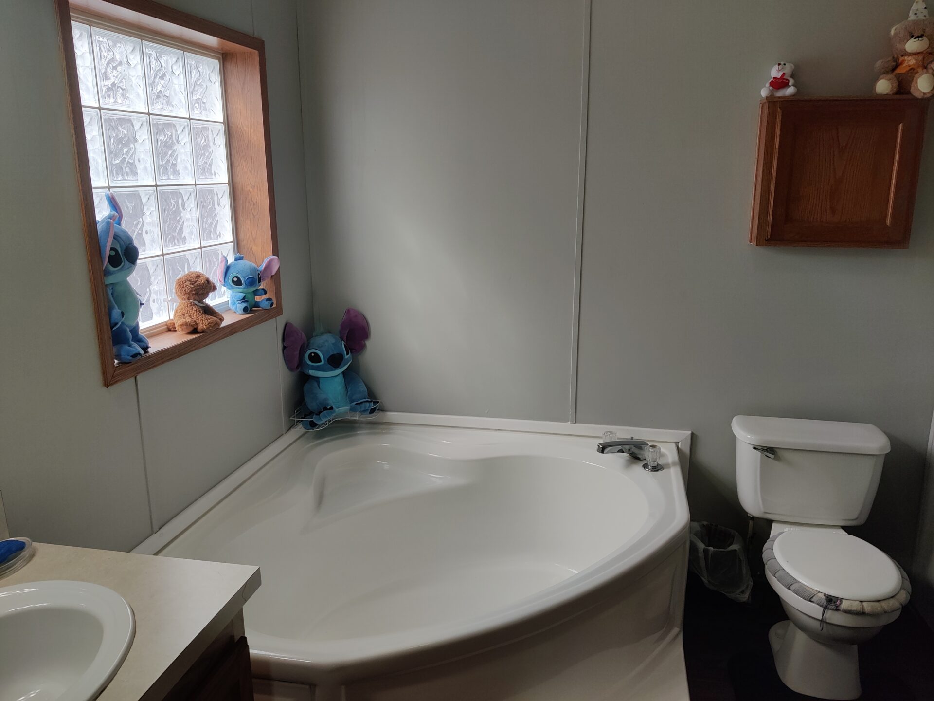 Master bathroom of double wide manufactured home for sale in Pontiac | Michigan Manufactured Homes for Sale